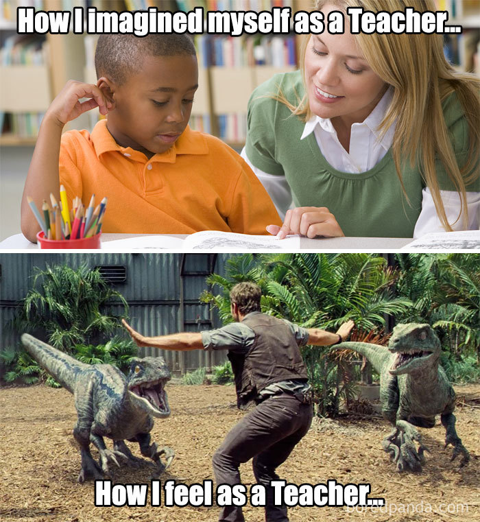 Elementary Teacher Meme Elementary Teacher Meme
