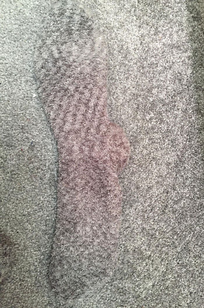 My Socks Blend In Perfectly With My Girlfriend's Carpet