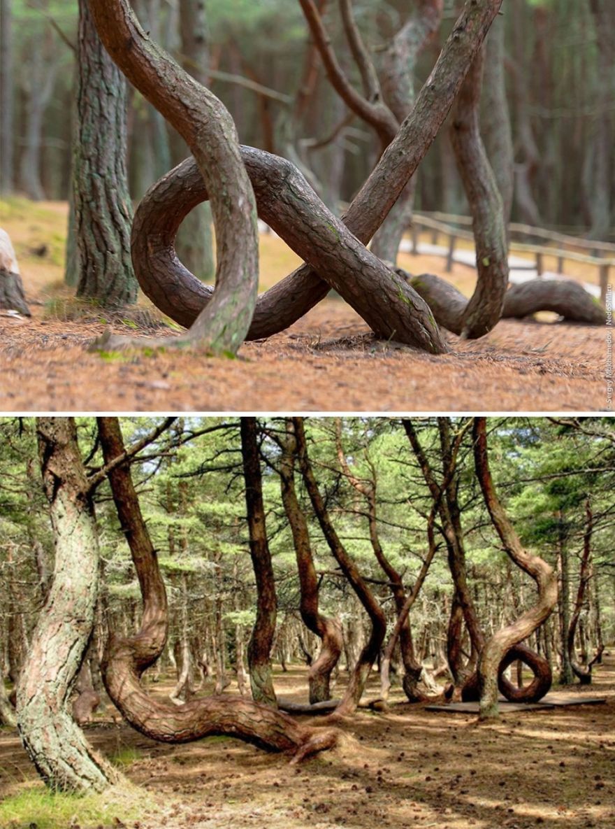 15 Mysteries Of Nature That Amuse Us All
