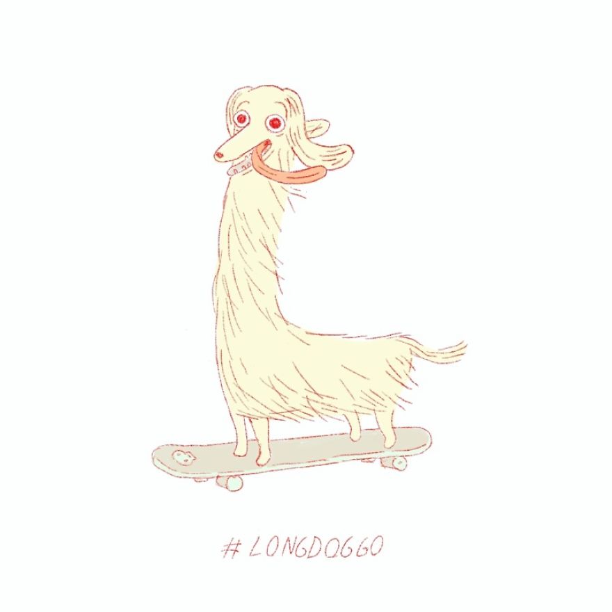 Twenty Doggos You Have Never Seen Before