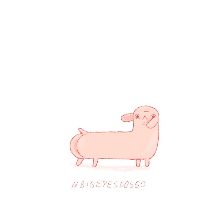 Twenty Doggos You Have Never Seen Before