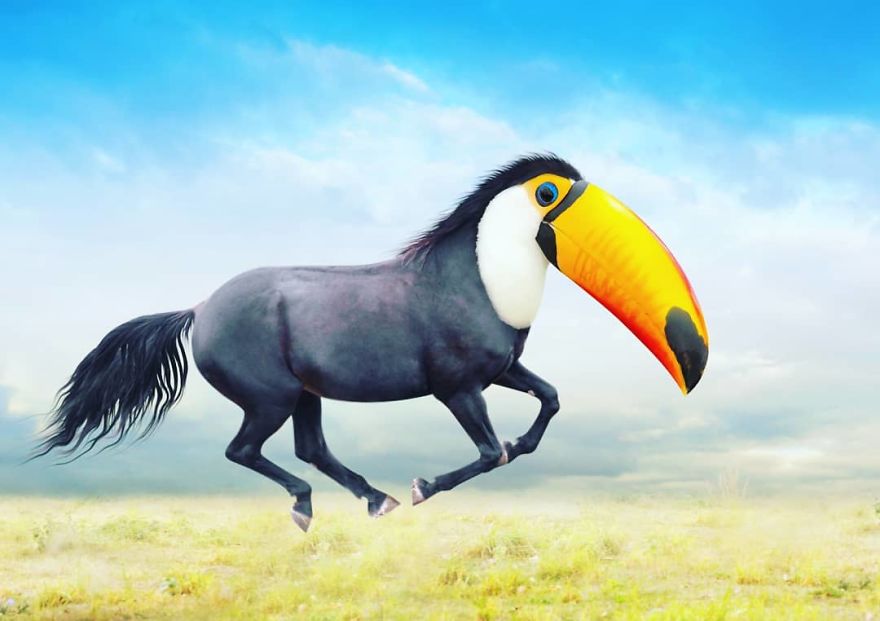 This Artist Creates New Species Of Animals With Photoshop And The Result Is Amazingly Funny