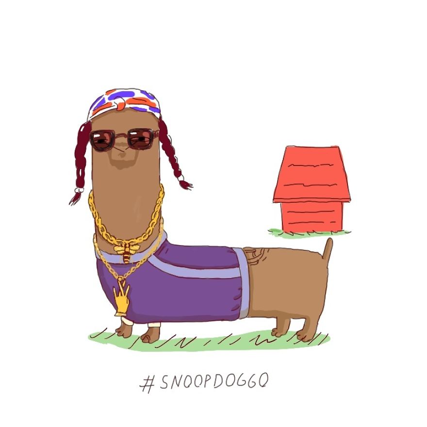 Twenty Doggos You Have Never Seen Before