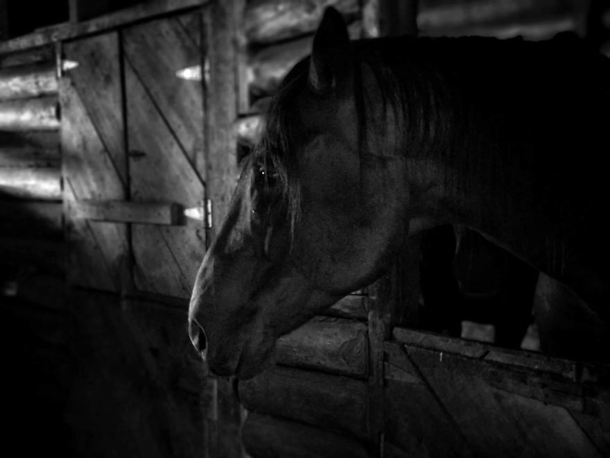 A Series Of Black And White Photos