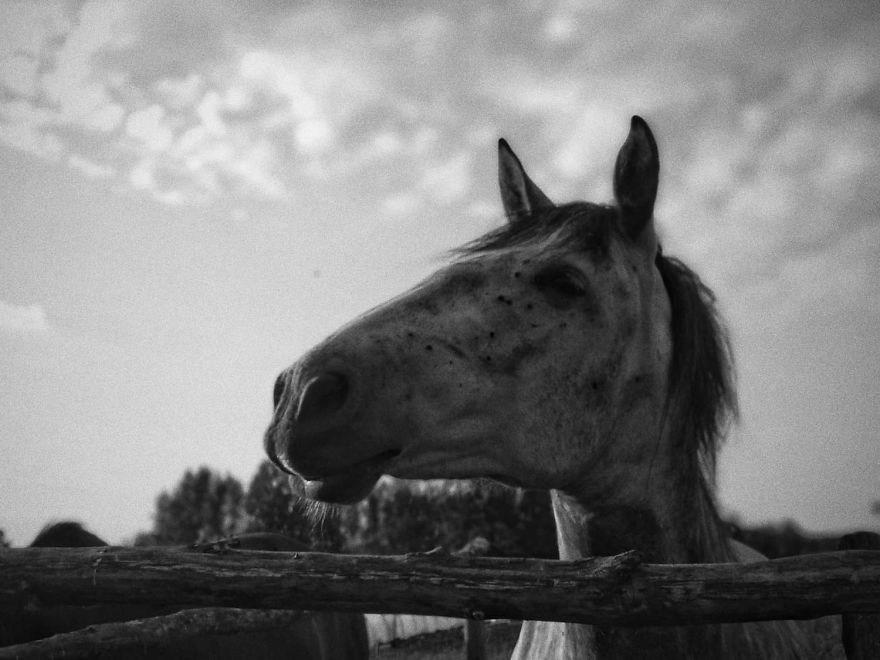 A Series Of Black And White Photos