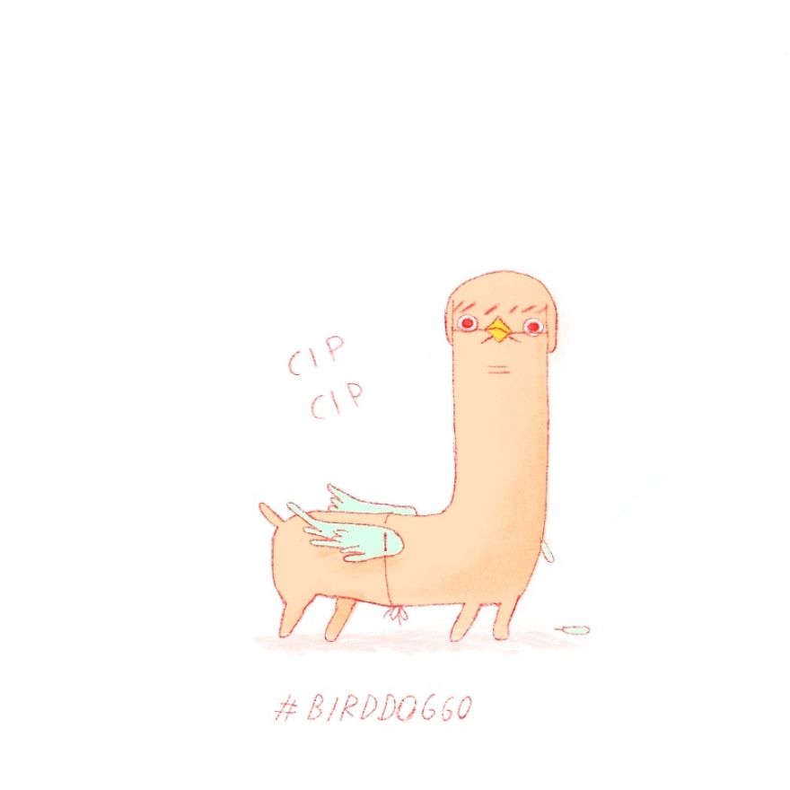 Twenty Doggos You Have Never Seen Before