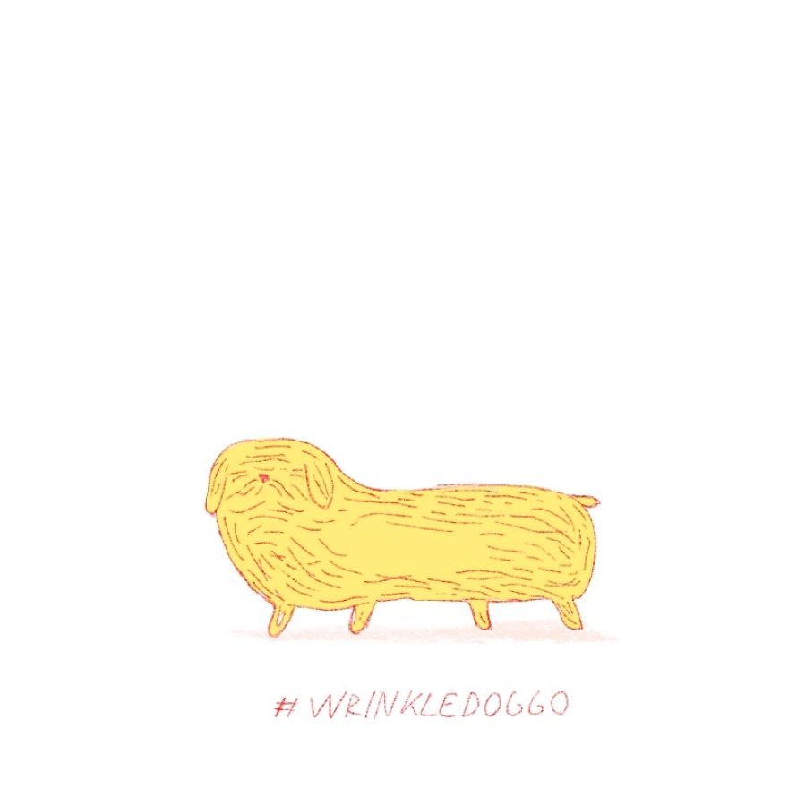 Twenty Doggos You Have Never Seen Before