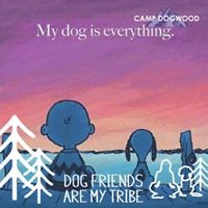 followmyleadonline avatar