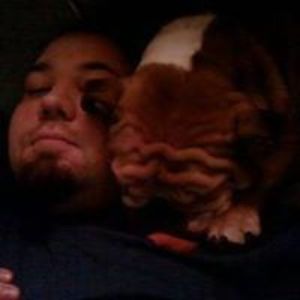 benoit_tremblay avatar