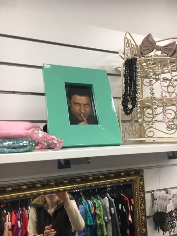Someone Who Works At A Charity Shop Put Jeff Goldblum In Every Single Photo Frame