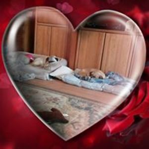 sonyaemichaels avatar