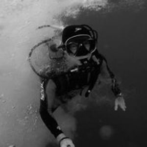 clownfish80