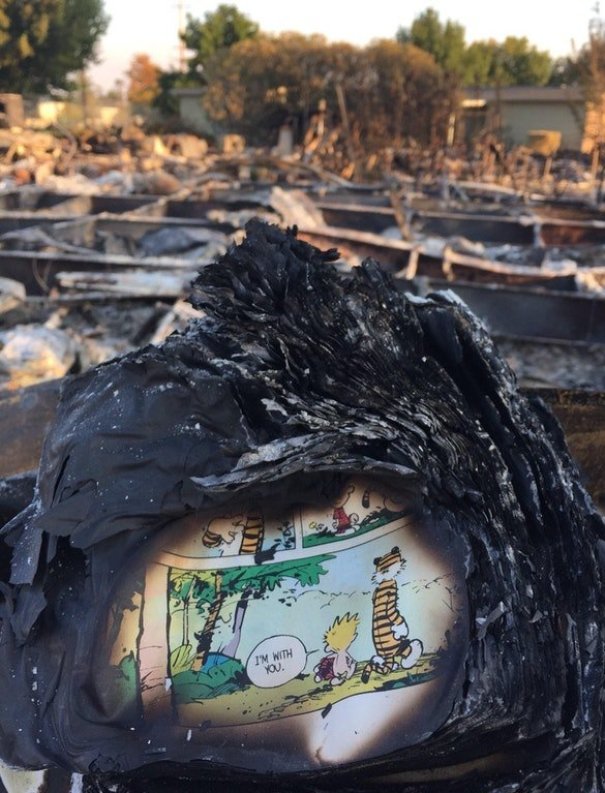 A Page Of A Calvin And Hobbes Book Found In The Ashes Of Someone’s House After The California Fires
