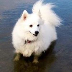 carolinelesleyjones avatar