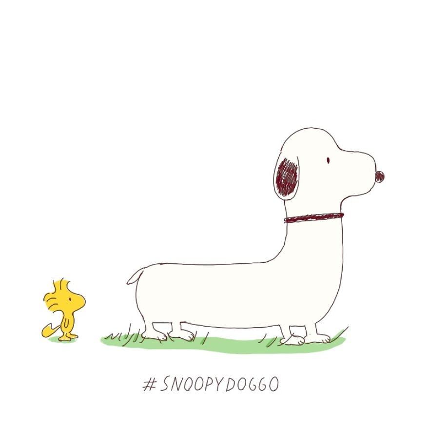 Twenty Doggos You Have Never Seen Before