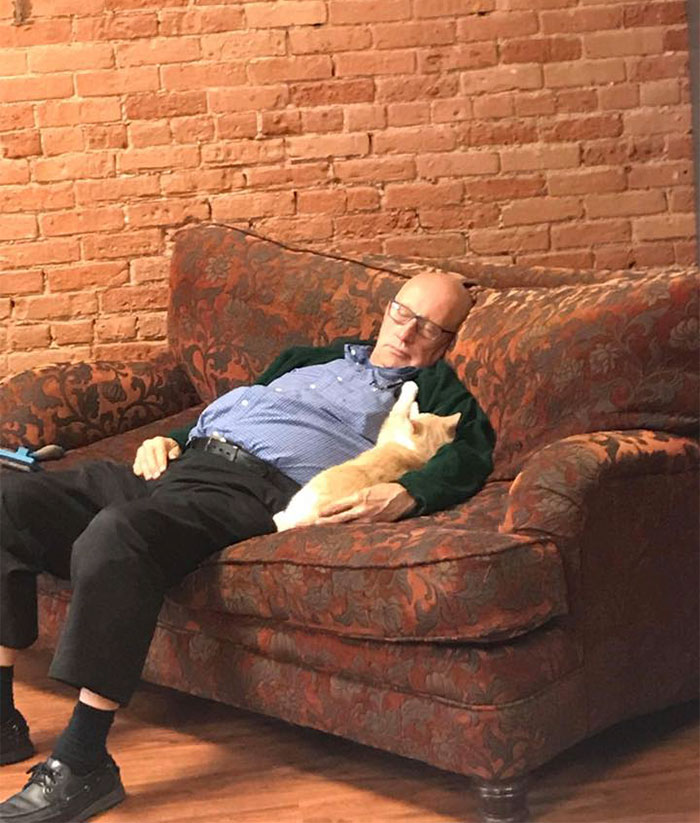 The Internet Can’t Get Enough Of This Man Who Volunteers And Naps With Cats At A Shelter Every Day