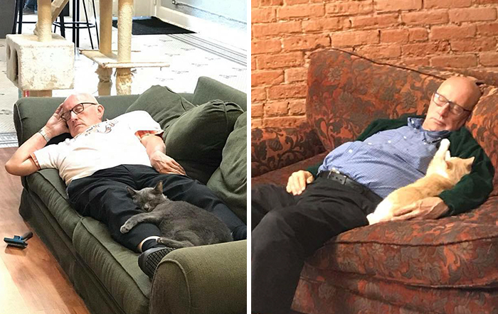 The Internet Can’t Get Enough Of This Man Who Volunteers And Naps With Cats At A Shelter Every Day