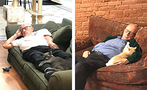 The Internet Can’t Get Enough Of This Man Who Volunteers And Naps With Cats At A Shelter Every Day