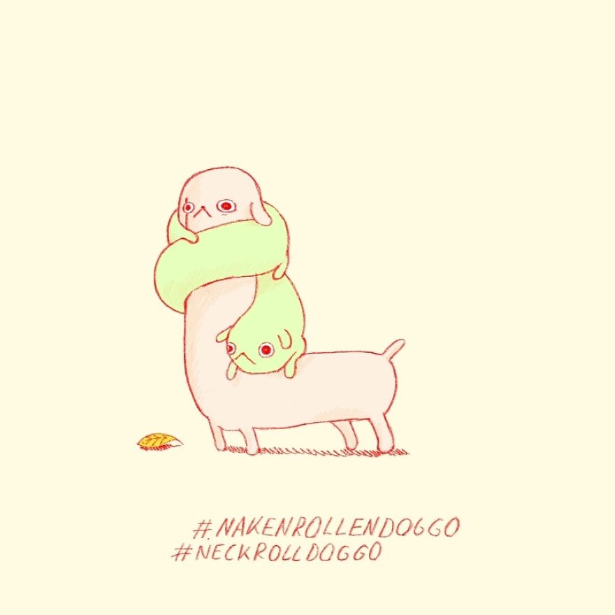 Twenty Doggos You Have Never Seen Before
