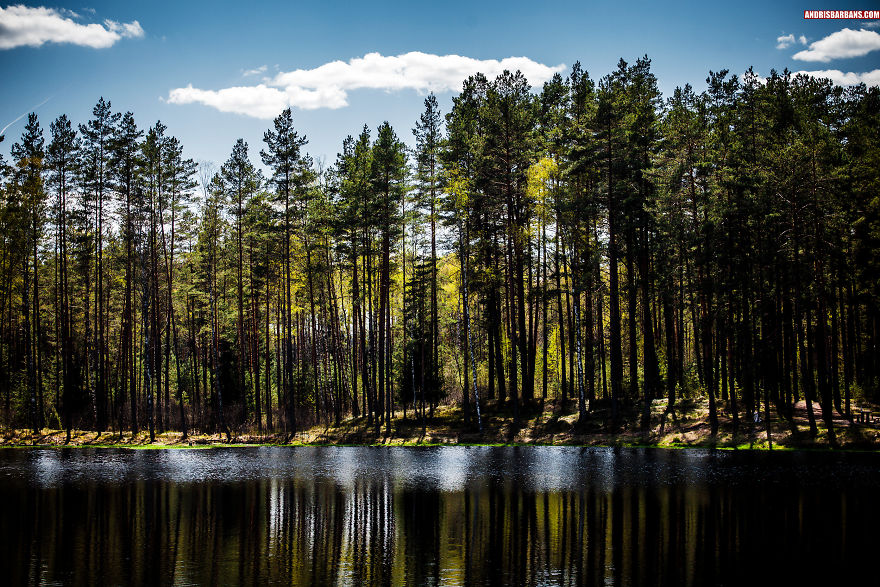 Forest Lake In Rezekne