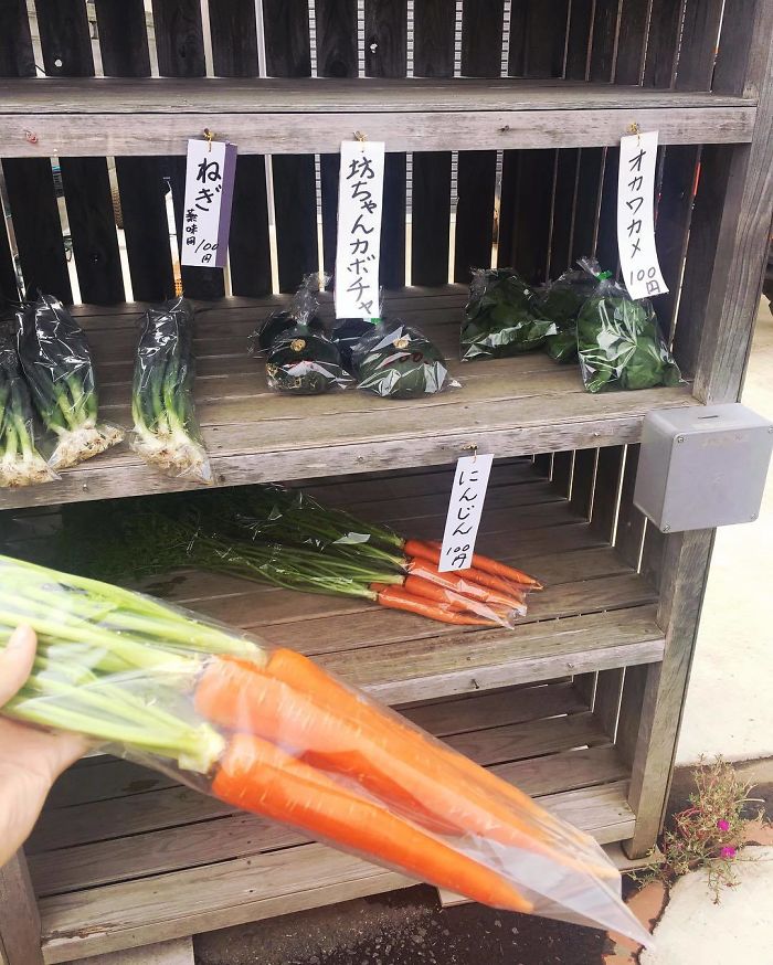 My Neighbors Have This Veggie Stand Outside Their House. You Just Pick Whatever You Want And Insert The Coins To That Grey Box