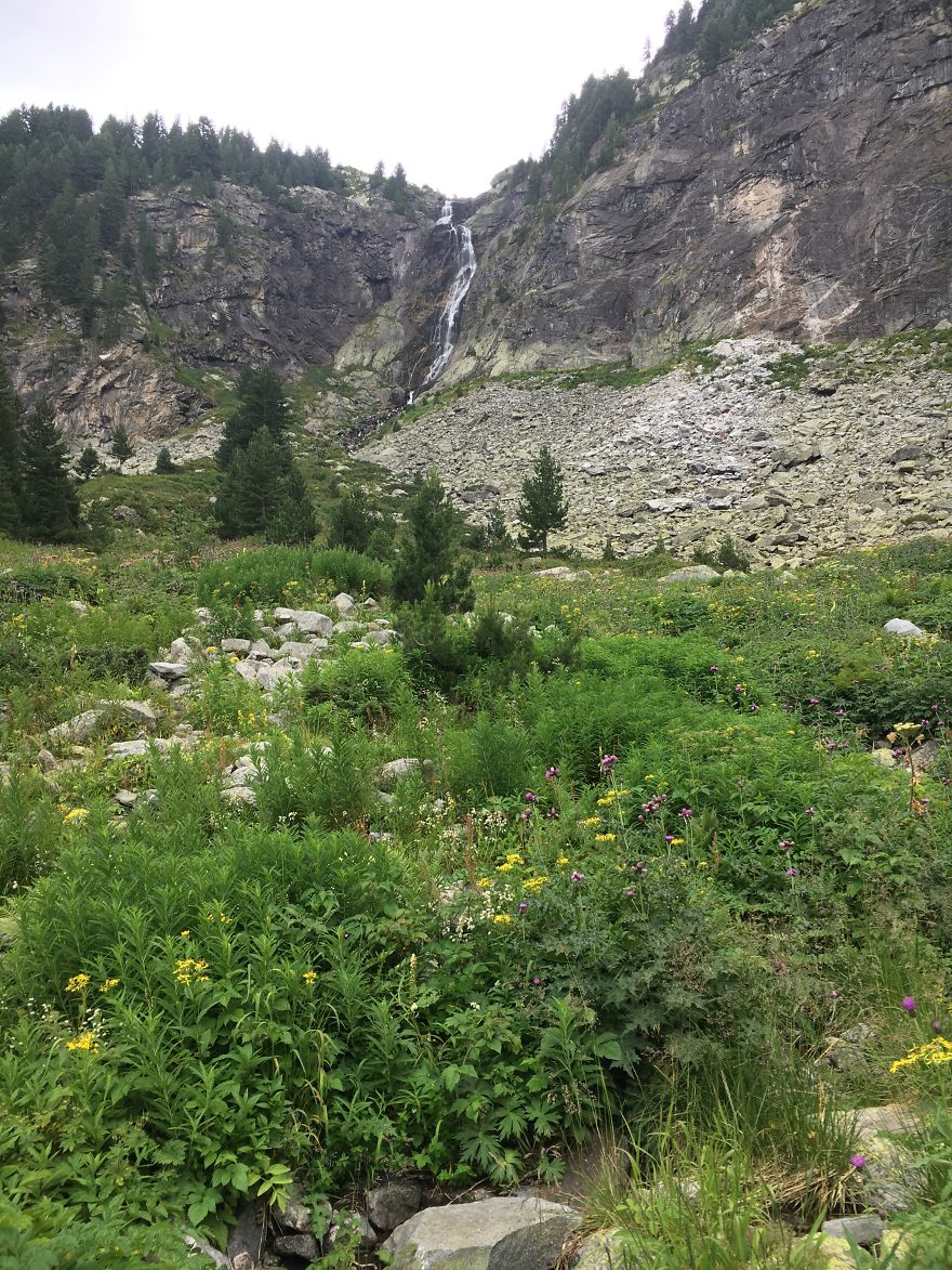 Mountain