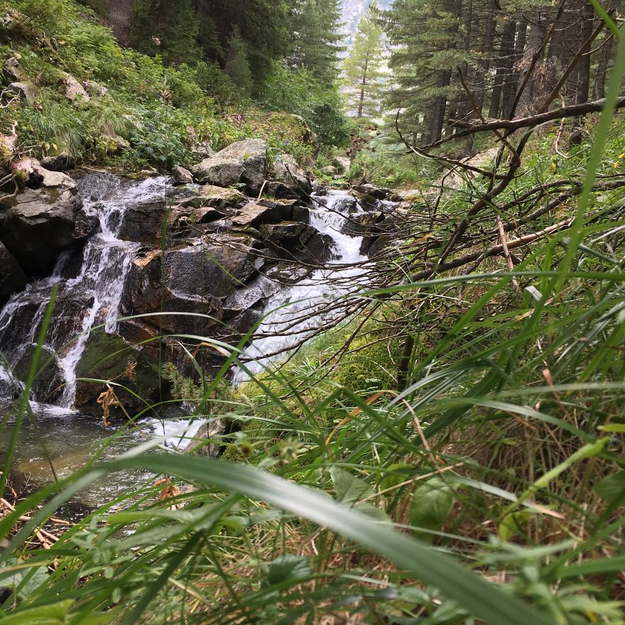 Mountain