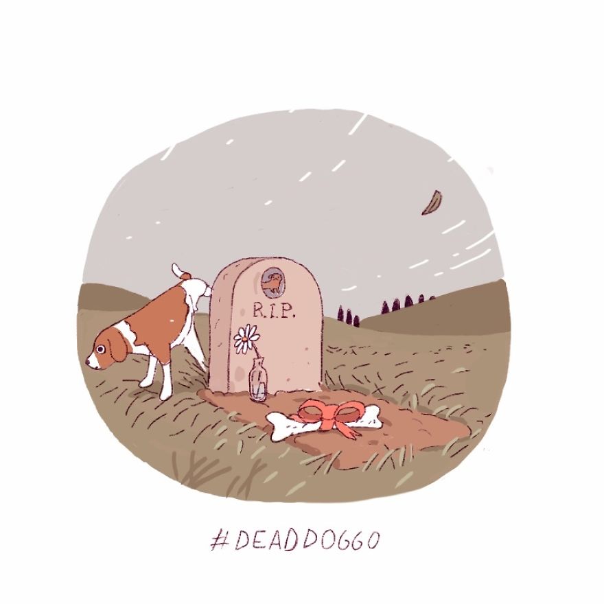 Twenty Doggos You Have Never Seen Before