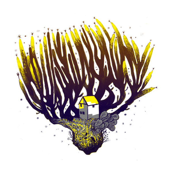 I Created A New Galaxy I Created A New Galaxy