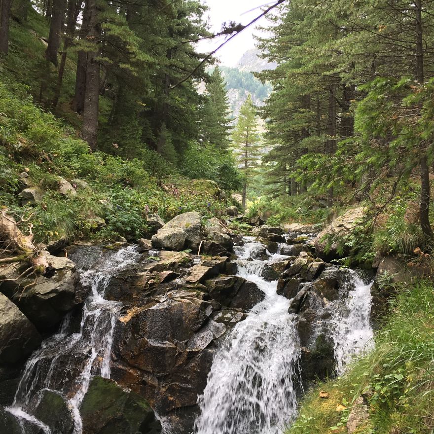 Mountain