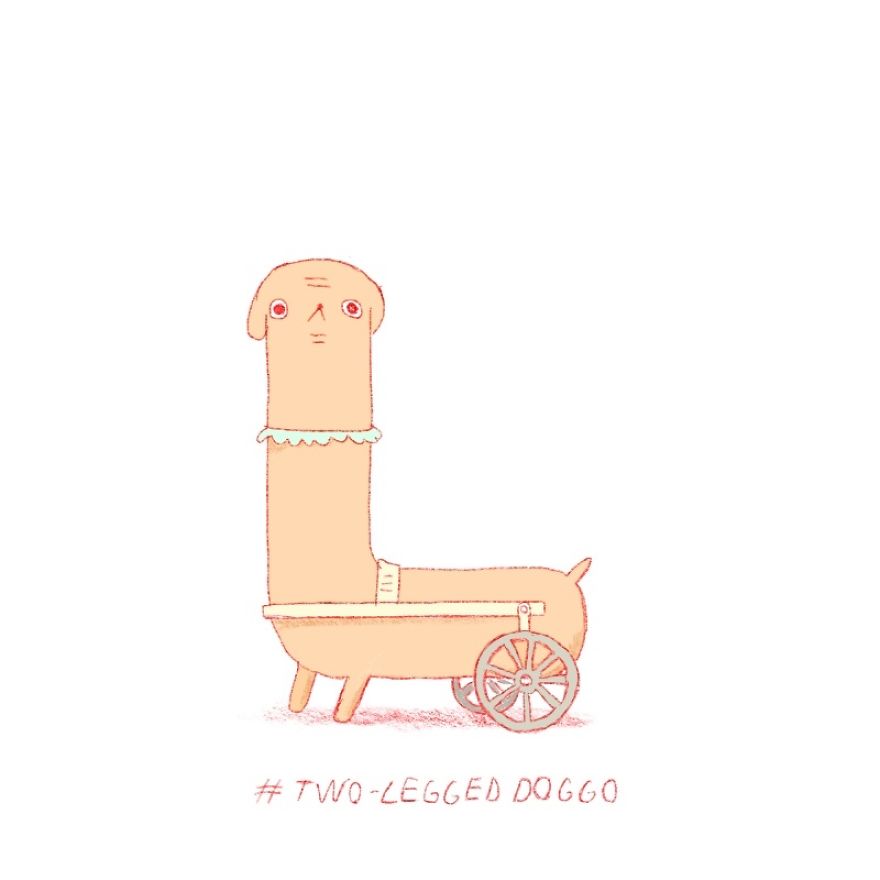 Twenty Doggos You Have Never Seen Before