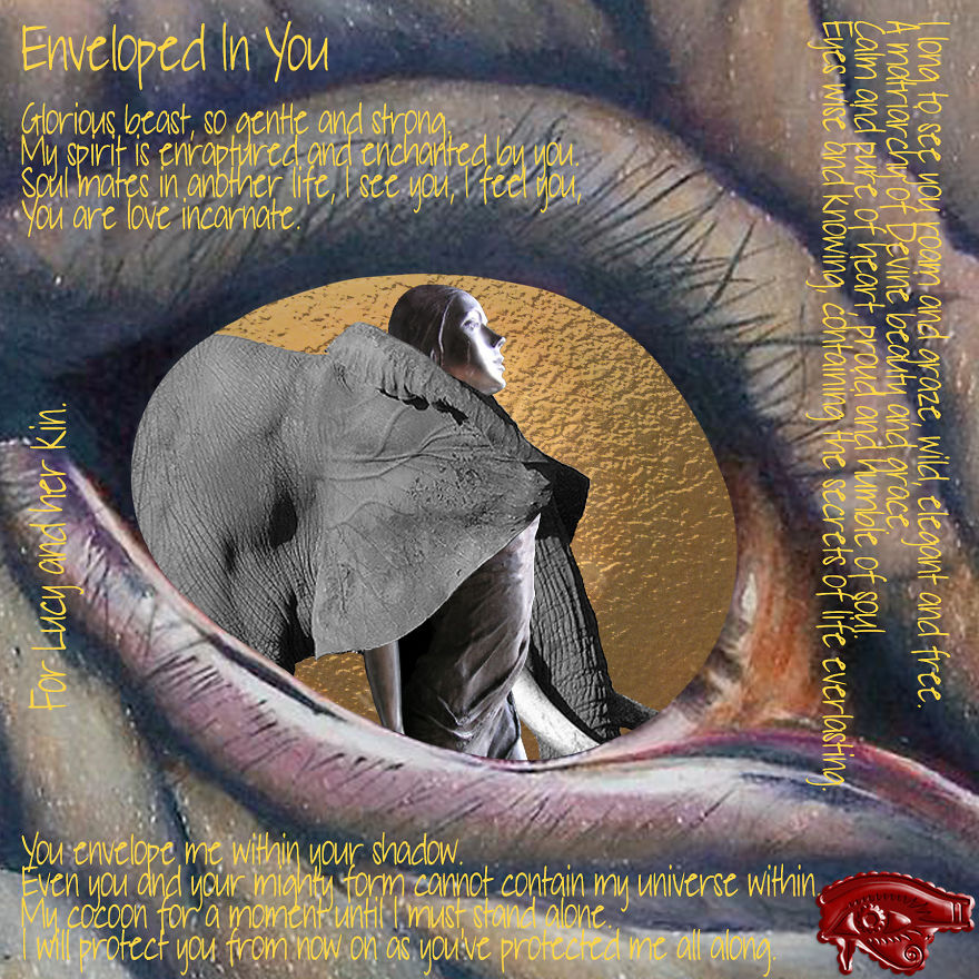 Enveloped In You / Enveloped In You Too Enveloped In You / Enveloped In You Too