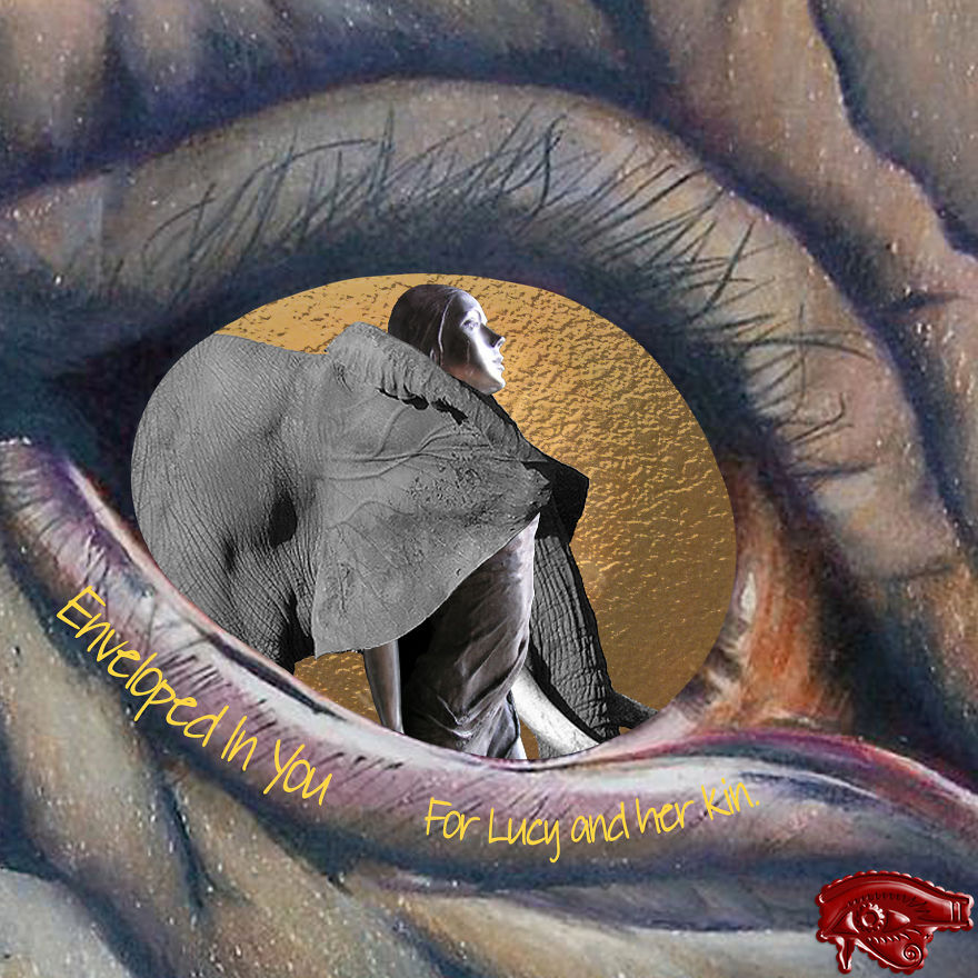 Enveloped In You / Enveloped In You Too Enveloped In You / Enveloped In You Too