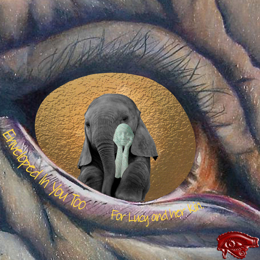 Enveloped In You / Enveloped In You Too Enveloped In You / Enveloped In You Too