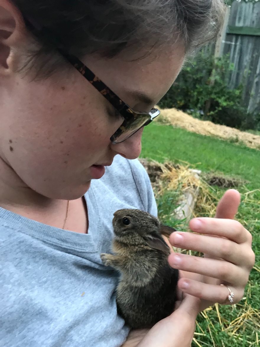 We Found A Bunny... With Our Chickens!