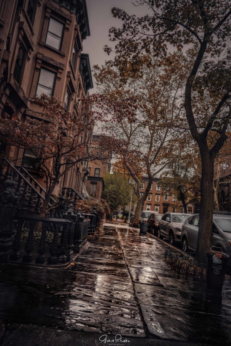 "Fall"Ing In Love With New York City