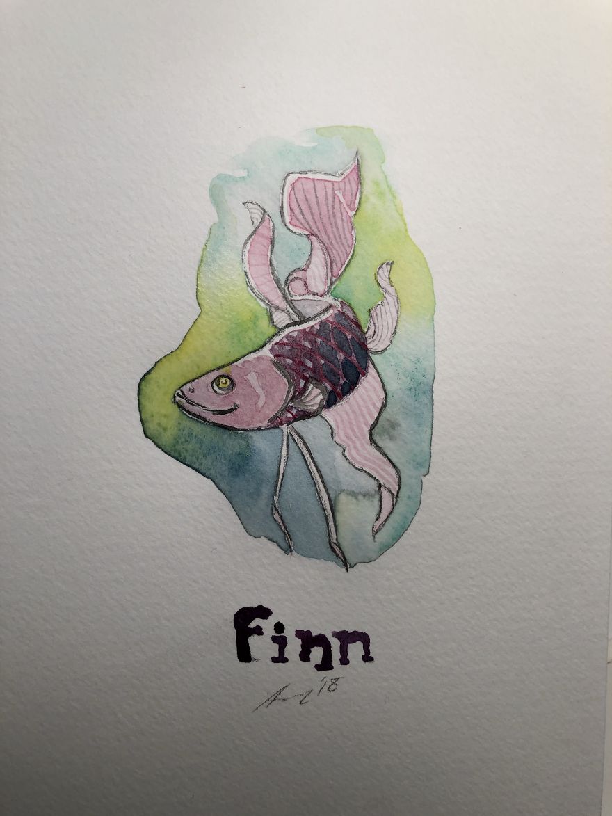 A Watercolor Journal Entry Of My Betta Fish. This Is Finn! A Watercolor Journal Entry Of My Betta Fish. This Is Finn!