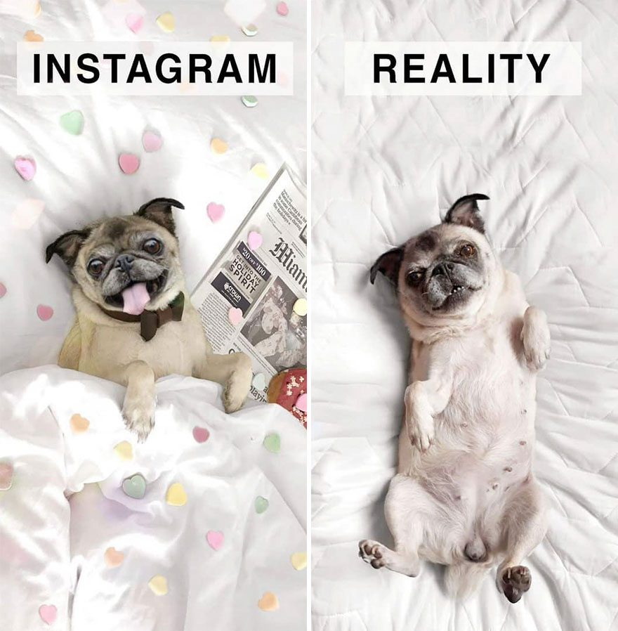 Instagram Vs. Reality