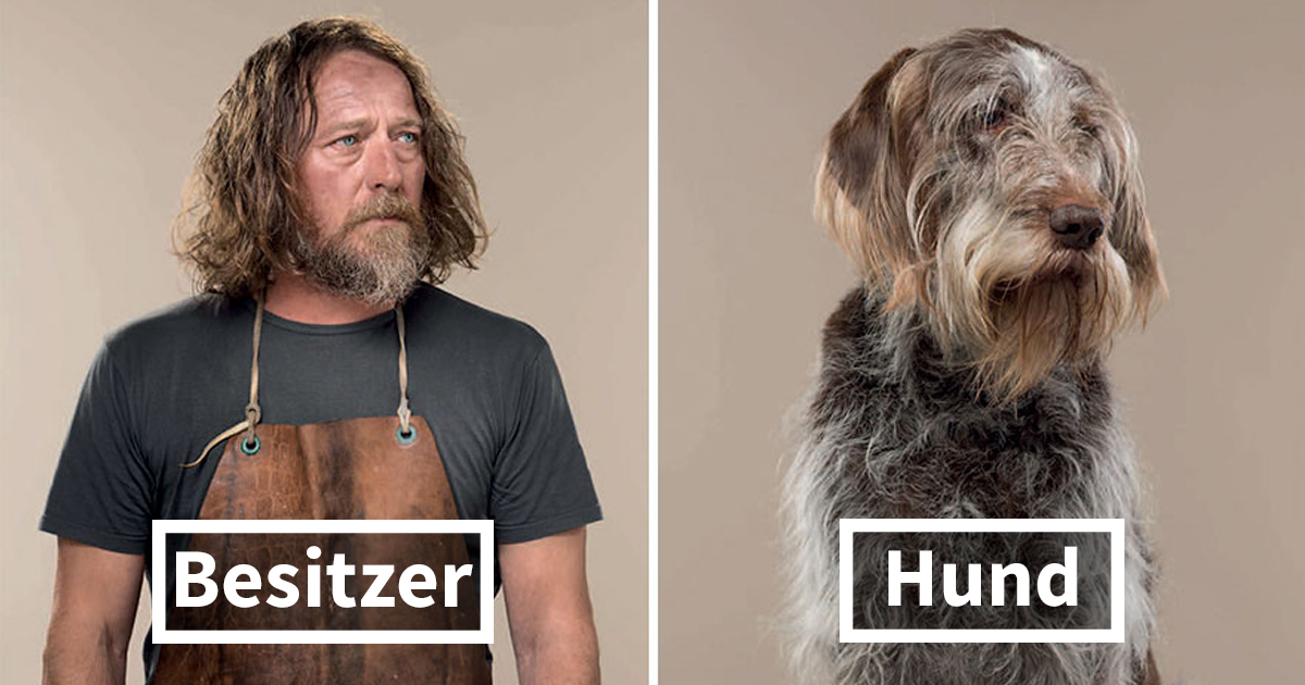 Fotograf stellt Hunde und Ihre Besitzer gegenüber und Ihre Ähnlichkeit ist verblüffend