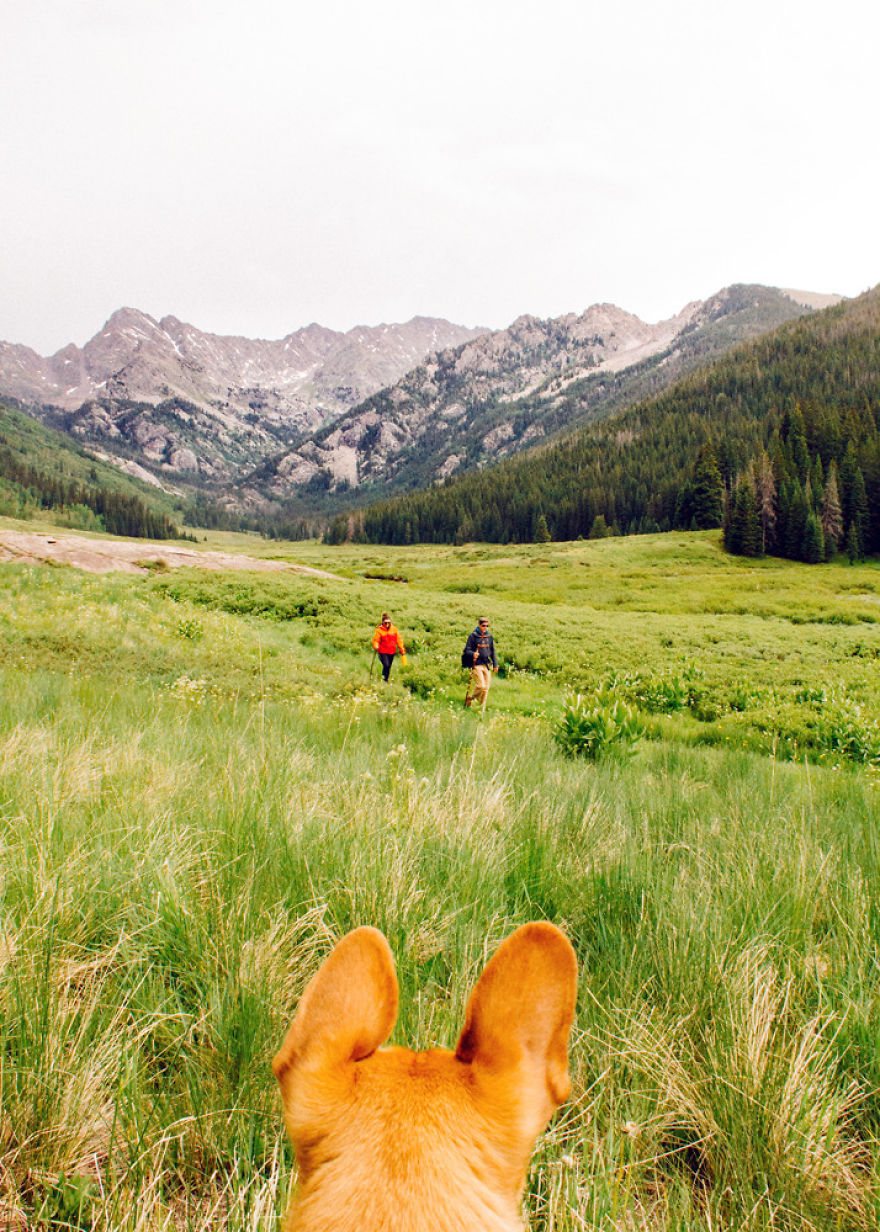 Colorado Hiking Adventure With Brazos Walking Sticks!