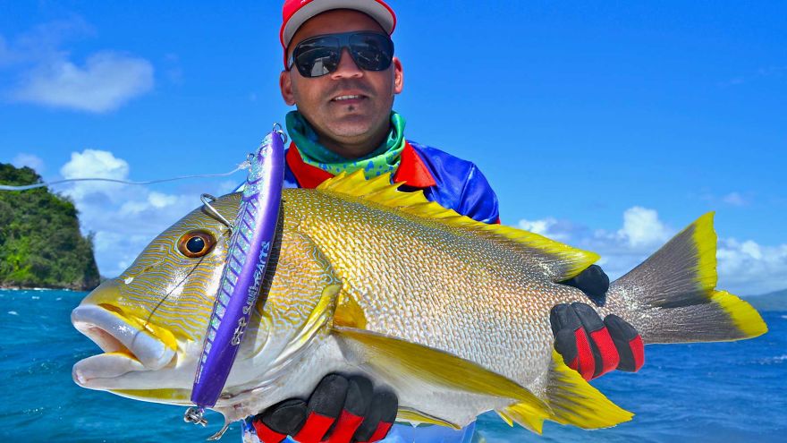 How To Fish Using Stick Baits How To Fish Using Stick Baits