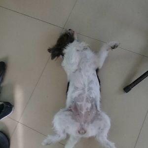 yclek_linco_22 avatar