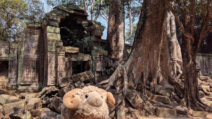 The Temples Of Angkor, Lost In The Jungle