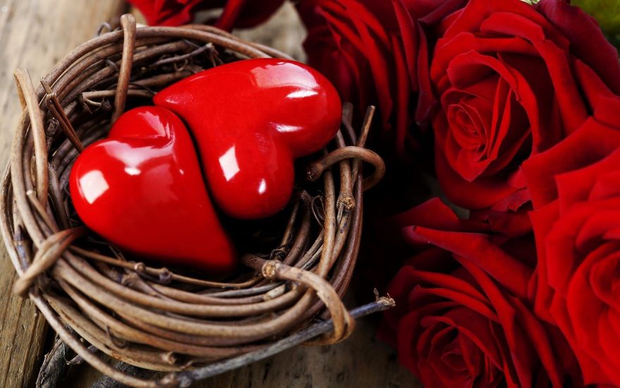 Love Nests: A New Trend Among Lovers Love Nests: A New Trend Among Lovers