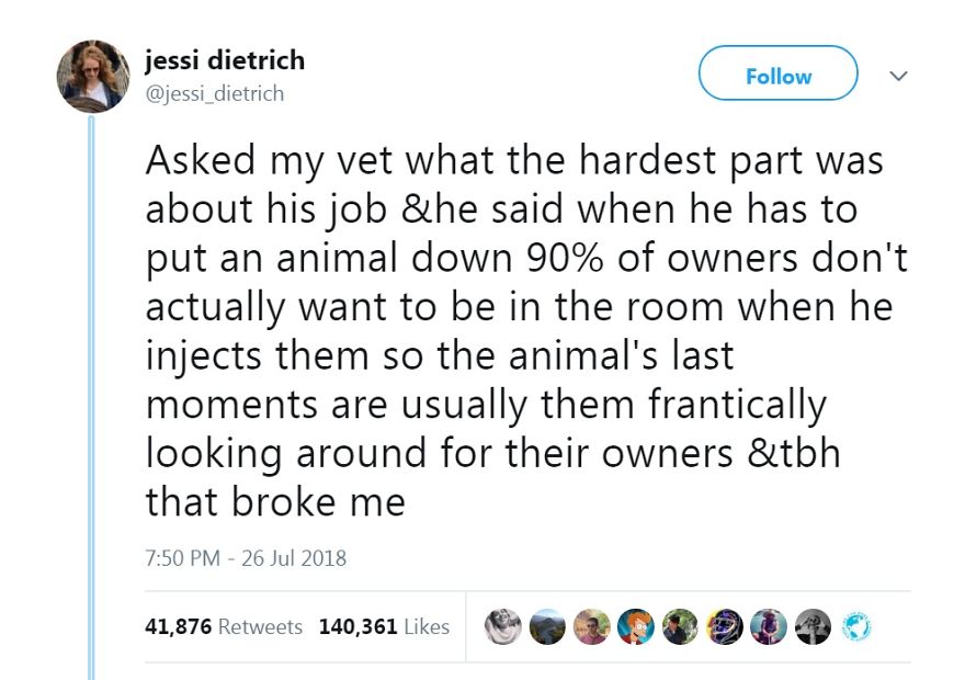 Veterinarians Reveal The Last Thing That Pets Do Before They Die And Their Heart Will Go To Know Veterinarians Reveal The Last Thing That Pets Do Before They Die And Their Heart Will Go To Know