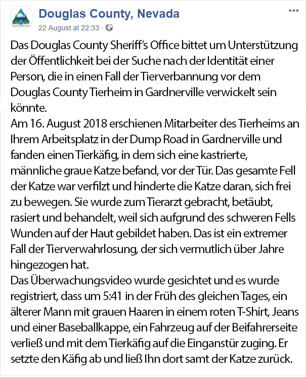 abandoned-matted-fur-cat-animal-shelter-bob-marley-nevada-1-5b88ef9a2e9a9__605ger