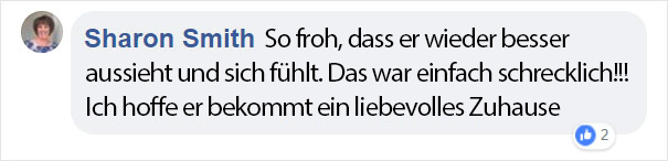 abandoned-matted-fur-cat-animal-shelter-bob-marley-nevada-14-5b88efed163d5__605ger