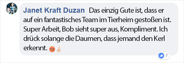 abandoned-matted-fur-cat-animal-shelter-bob-marley-nevada-21-5b88eff6e7438__605ger