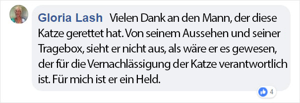 abandoned-matted-fur-cat-animal-shelter-bob-marley-nevada-22-5b88eff830abe__605ger