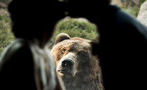 The Internet Is Cracking Up Over This Bear’s Reaction To This Couple Getting Married At The Zoo (3 Pics)